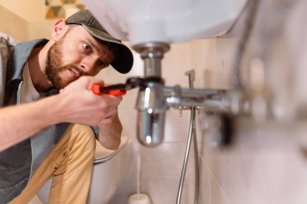 Best Affordable Plumber Near Me  in Forest Park, OH