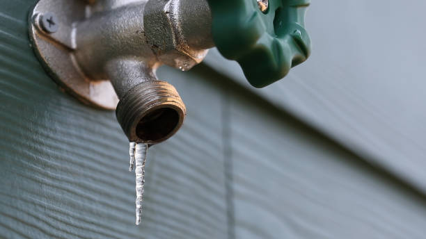 Best Sewer Line Repair  in Forest Park, OH